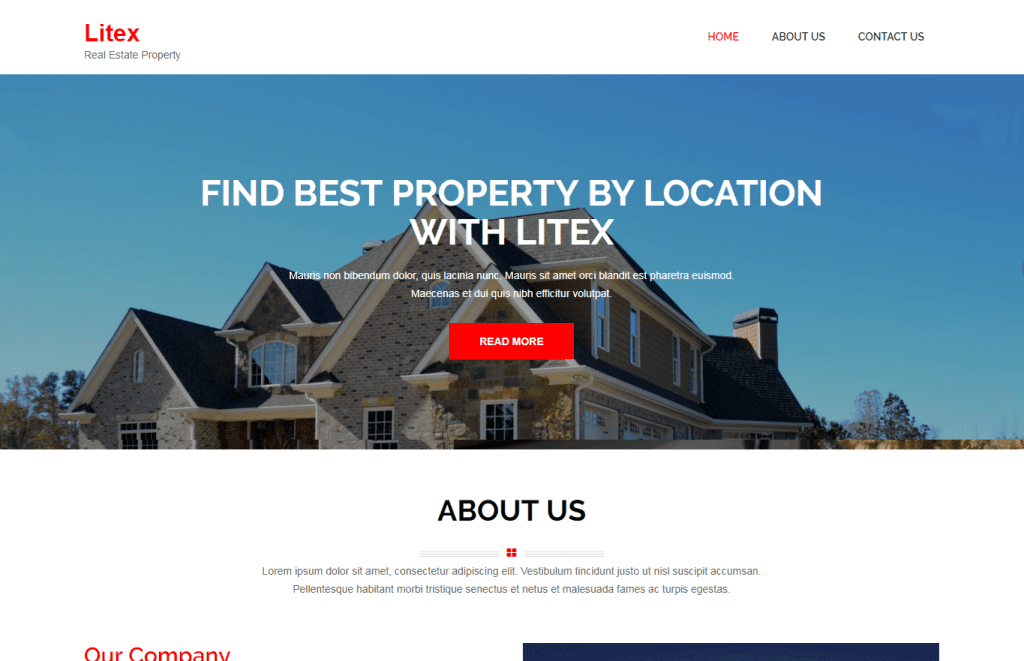 litex