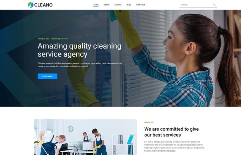 Cleaning Service